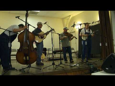 Piney Creek Weasels live in Orangevale, CA, June 10, 2012