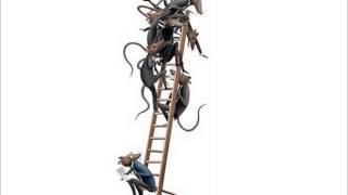 Brody Dalle - Rat Race