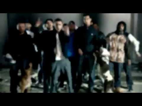 Wistar   weld el 15   Mr Mustapha - I am angry (HD)