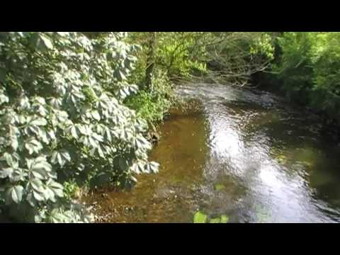 River Trieux, 22200 Guingamp, Côtes d'Armor, Brittany, France 9th July 2009