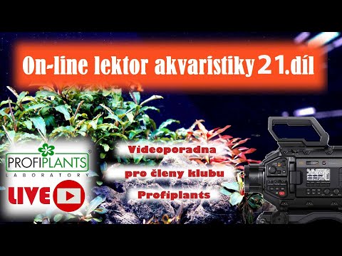 Vysílání pro členy klubu Díl 21 - 14.10.2023 v 17 hodin