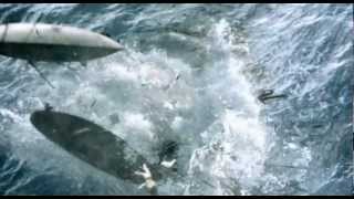 2010: Moby Dick (2010) Video