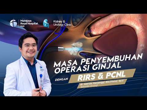 Masa Penyembuhan Batu Ginjal dengan Metode RIRS & PCNL - dr. Maruto Harjanggi, BSc(Hons), Sp.U