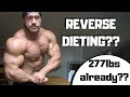 HD MASSTHETICS PROTOCOL EP 1 : 277lbs posing and reverse dieting!