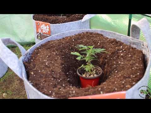 download lagu mp3 mp4 Dream About Big Pots, download lagu Dream About Big Pots gratis, unduh video klip Dream About Big Pots