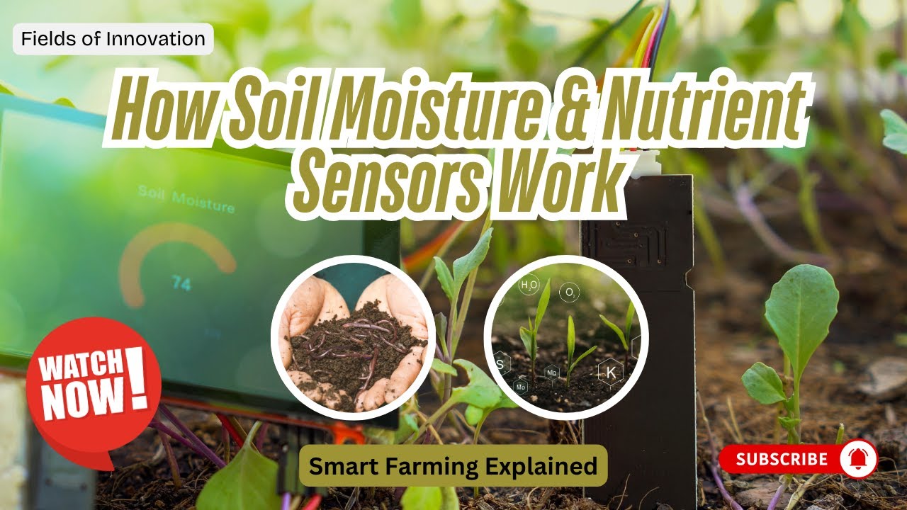 33 - How Soil Moisture & Nutrient Sensors Work | Smart Farming Explained