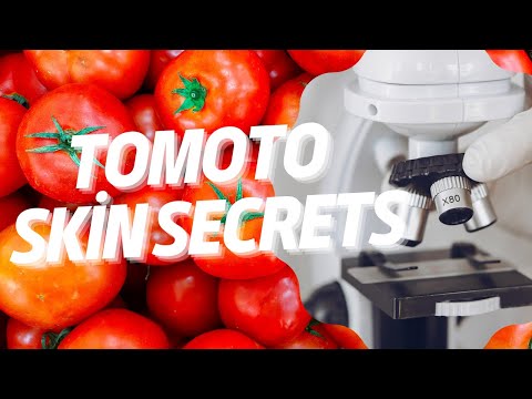 Microscopic Magic of the Mighty Tomato #MicroscopeMagic  #TomatoSkin #FoodUnderMicroscope