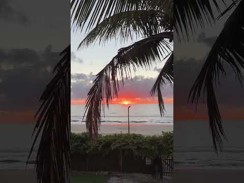 #daybreakers #auroralive #itapoásc #praiasbrasil #praiasc #meubrasil #vovónamídia