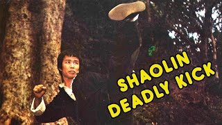 Wu Tang Collection -  Shaolin Deadly Kick