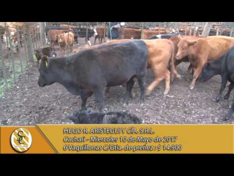 10-05-17 Venta de Vientres - Hugo R. Aristegui y Cia S.R.L. - Cacharì.
