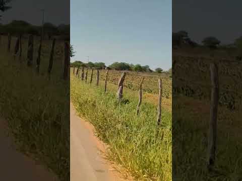 Minador do Negrão região do sertão de Alagoas