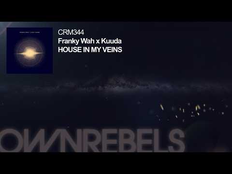 Franky Wah x Kuuda - House in My Veins