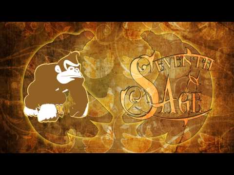 Jungle Groove - Donkey Kong metal cover