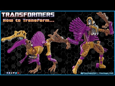 Fossilizers Return! Transformers: Legacy Wreckers Spindle #Shorts | HNE Toys