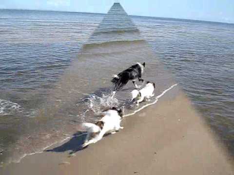 Džei Džei and the sea 0001