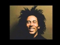 Bob Marley & The Wailers   Reincarnated Souls