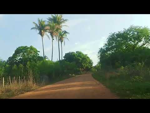 Lagoa Nova - Nazária - Piauí 