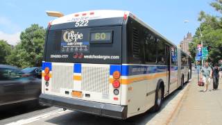 Bee-Line Bus System: Route W60 at US Route 1 & Pelham Pkwy [AN460]