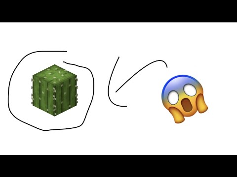 Super advanced cactus farm (only 1% can make)