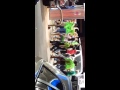 Wobble in florida