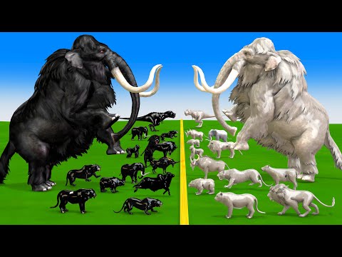 10 White Elpehant Mammoth vs Prehistoric Mammals vs Black Albino Animals Size Comparison vs Animals