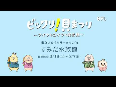 Kaishain X Sumida Suizokukan Bikkuri Kai Matsuri Cm Anime I Manga Forum Shikimori Kaishain X Sumida Suizokukan Bikkuri Kai Matsuri Cm Anime I Manga Forum Shikimori