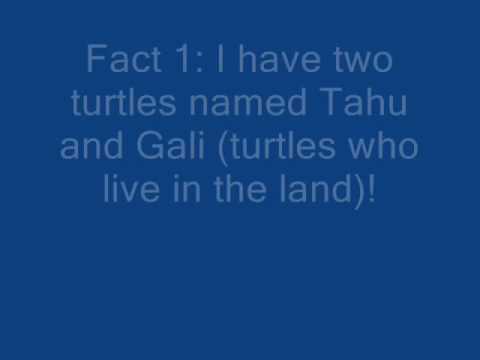 No more tags please!!!