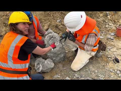 Massive ammonite on the Hills Quarry Products dig! 2025 #tuskforce 