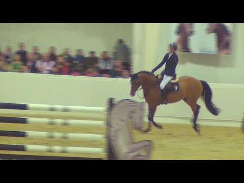 ARALDIK & Patrick Döller