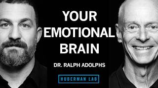Neuroscience of Emotions & Tools for Improving Emotion Regulation | Dr. Ralph Adolphs
