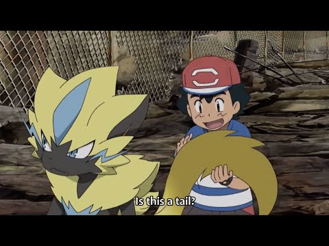 Ash Grabs Zeraora's Tail