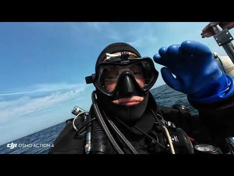 In the Depths of the Baltic Sea: International Expedition to Explore Ancient Shipwrecks Concludes