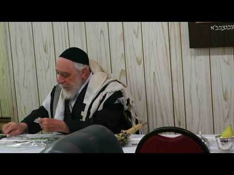 Liska Rebbe replacing Hadasim - Aruvos for Lulav, Sukkos, 5778