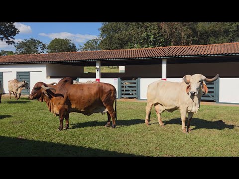 Estancia OMIA.. Minas Gerais.. Brasil...