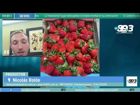 Productores misioneros impulsan el cultivo de frutillas con tecnología semihidropónica