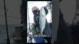 지깅 이렇게 하는 거 맞아 ? 첫 방어낚시 #fishing #낚시 #방어낚시