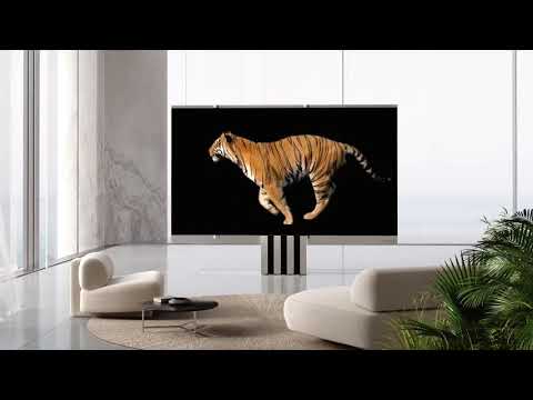 The C Seed M1 165 inch 4K  Rollable MicroLED TV