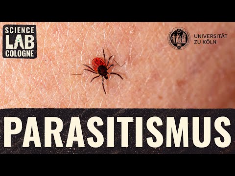 Alles was du über Parasiten wissen musst