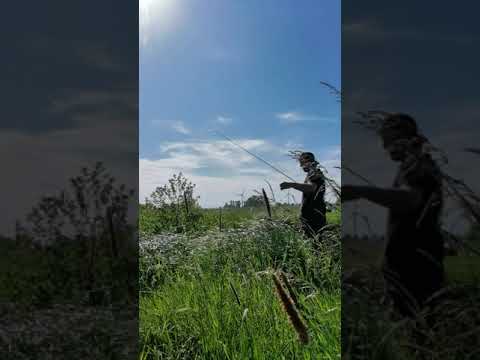 Spaziergang in der Freiheit ✌️ Hamburg und Umgebung.. Leider kein Fisch aber Pfingsten genossen 😎😎