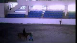 Трейлер превью