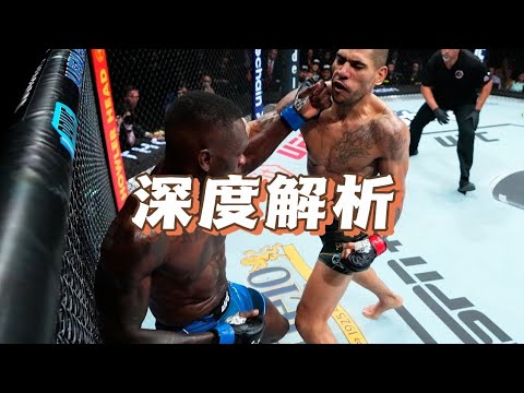 深度解析 || 黑龙是如何KO佩雷拉的｜ufc293阿迪萨亚卫冕战预热｜沥泉格斗解说