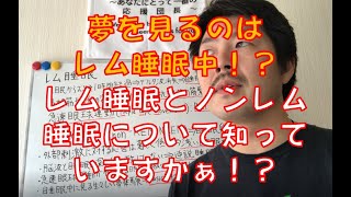 【不眠改善】夢を見るのはレム睡眠中!?レム睡眠とノンレム睡眠について知っていますかぁ??