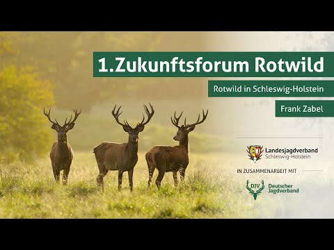 Zukunftsforum Rotwild | Teil 3: Rotwild in Schleswig-Holstein