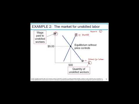 Chapter 6 Demand and Supply and Government Policies