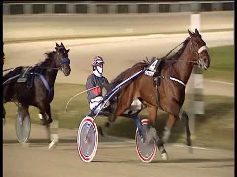 Trotto 18/12/2018 - 5ª corsa