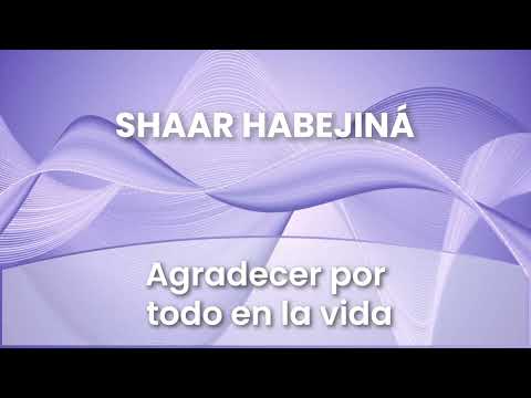 4 - Agradecer por todo en la vida