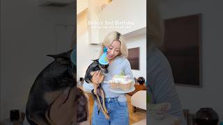 Happy bday Dubu 🥳 #doglife #dogmom #dogbirthday #rescuedog
