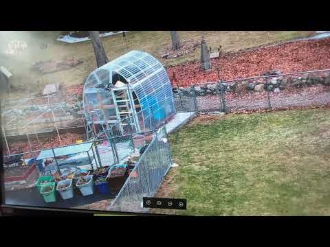 Reolink RLC 811A vs. RLC-1212A