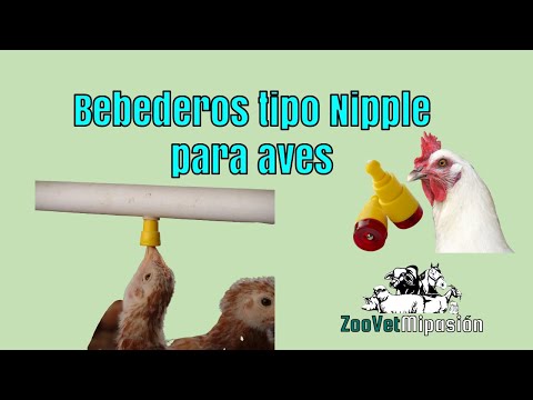 , title : 'Bebederos tipo niple para aves en avicultura'