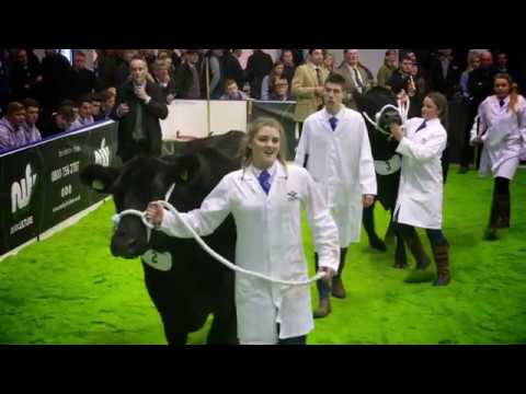 Highlighting the Importance of Weighing Cattle